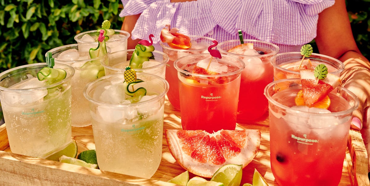 AI Innovations Propel Compostable Tableware Business Competitiveness