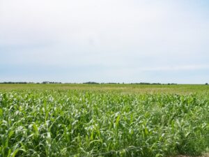 Google Backs Initiatives for Watershed Health in Oklahoma