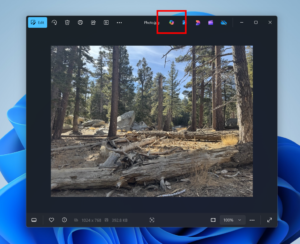 Testing of an Unnecessary Copilot Feature in Windows Photos