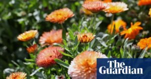 A Story from OpenAI's New Creative Writing Model: 'A Machine-Shaped Hand'