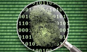 AI Challenges the Uniqueness of Fingerprints, Disrupting Law Enforcement Practices