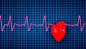 AI Estimates Biological Heart Age Using ECG Data