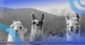 Essential Insights on Meta AI's Llama 3