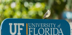 Florida Virtual School Launches AI in Math Certification Program