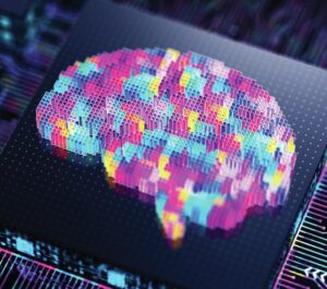 Maximizing AI in the Wine Industry on a Budget