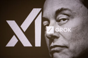 Grok AI by Elon Musk Opposes Trump's Strict Immigration Policies